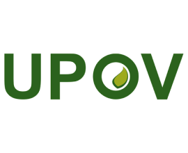 Peter Button, Vice Secretary-General of the International Union for the Protection of New Varieties of Plants (UPOV)