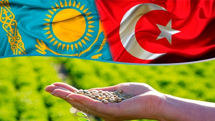 Turkish investors plan to build lentil processing plant for $ 17 million in north Kazakhstan region