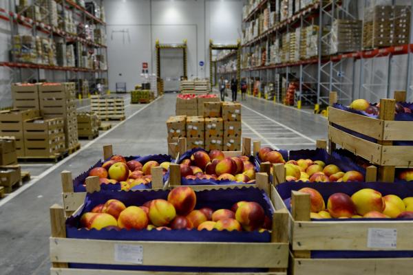 Construction of fruit storage facility