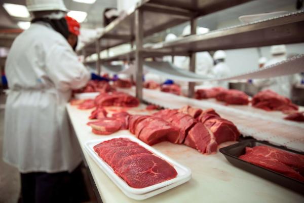 Construction of a meat processing plant with slaughtering facilities for up to 300 sheep and goats and 50 cattle per shift