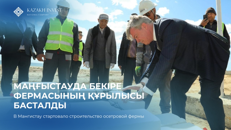 В Мангистауской области стартовал проект по строительству осетровой фермы