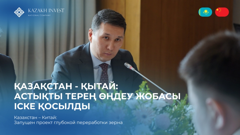 A deep grain processing plant is planned for construction in the Akmola region